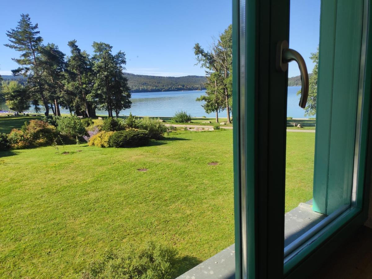Lipno Riviera - Mysi V Bote Leilighet Lipno nad Vltavou Eksteriør bilde