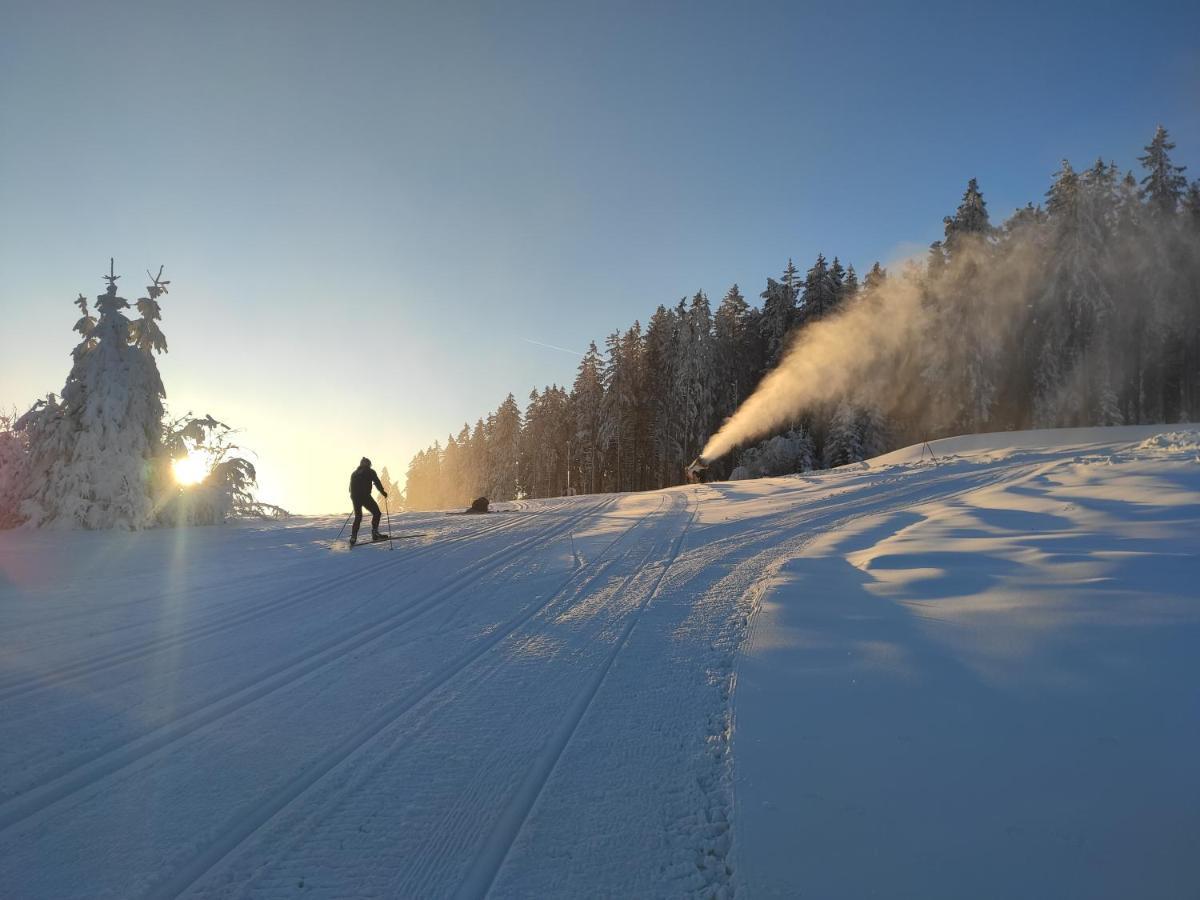 Lipno Riviera - Mysi V Bote Leilighet Lipno nad Vltavou Eksteriør bilde